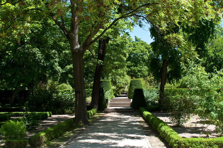 Madrid: Real Jardín Botánico Entry Ticket