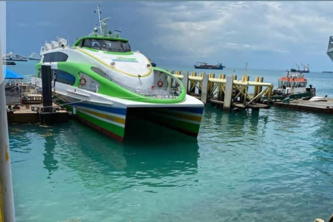 Zanzibar: 3-Day Mikumi National Park Safari with SGR Train