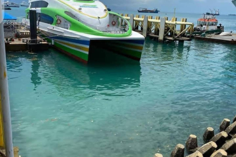 Sansibar: 3-tägige Mikumi-Nationalpark-Safari mit dem SGR-Zug