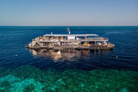 Depuis Airlie Beach : L'expérience du ponton sur la Grande Barrière de Corail
