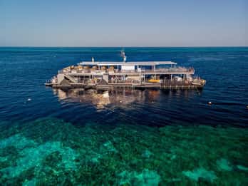 Von Airlie Beach aus: Great Barrier Reef Pontoon Experience