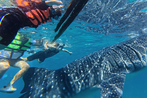 Cebu: Oslob Whaleshark Watching Canyoneering ritiro privato