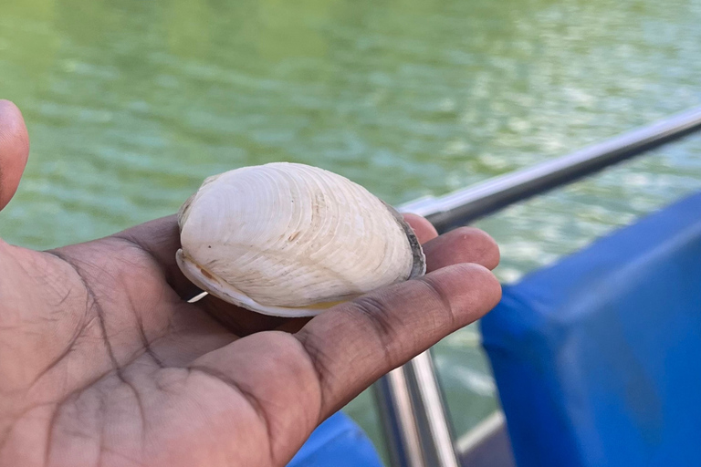 Explore the mangrove and Pointe Sable in Guadeloupe