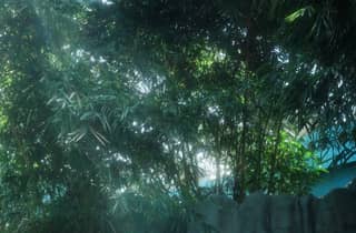 Singapur: Mandai Wildlife Reserve & Nacht-Safari – Transfer