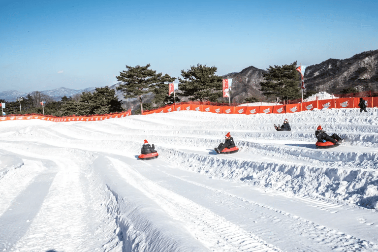 Seoul: SnowyLand in Vivaldi Park with Nami or Alpaca Group Tour with Alpaca World from Hongik University Station