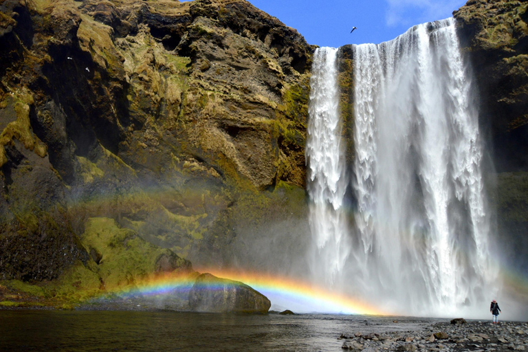 Reykjavik: South Coast Private Day Tour & a Polaroid Photo
