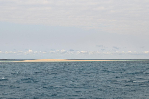 Zanzibar;Blue Safari Snorkeling & Blue Lagoon with BBQ lunch Pickup anywhere (All inclusive)