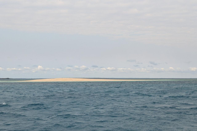 Zanzibar;Blue Safari Snorkeling & Blue Lagoon with BBQ lunch Pickup anywhere (All inclusive)