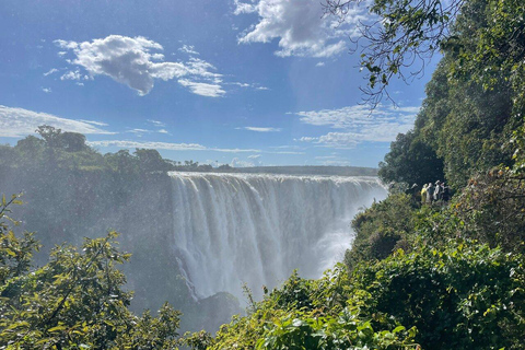 Całodniowa wycieczka do wodospadu Wiktorii z basenem Angels&#039; Pool