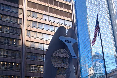 Downtown Chicago History Walking Tour with Expert Guide