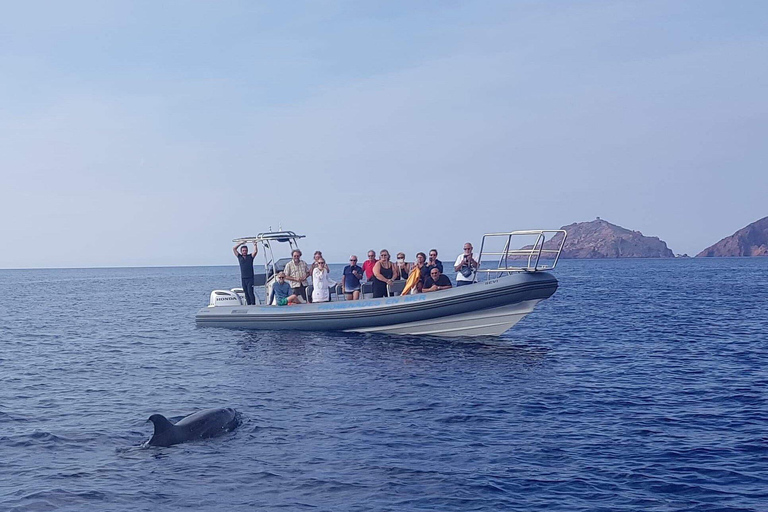 The Grand Tour of the Gulf: From the calanques to the Scandola Nature Reserve The Grand Tour of the Gulf: From the Calanques to the Scandola Nature Reserve