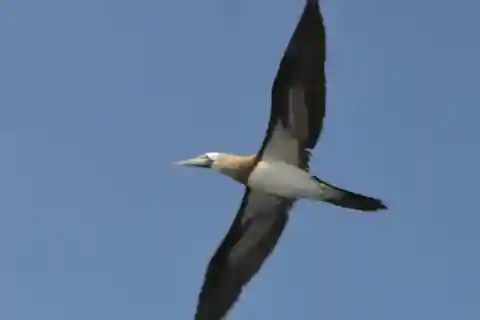 Titre : Puerto Vallarta : L'île de Marietas Shamballa II