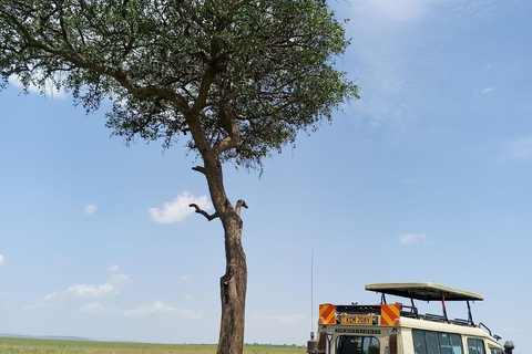 8-Day: Tanzania Safari Tour