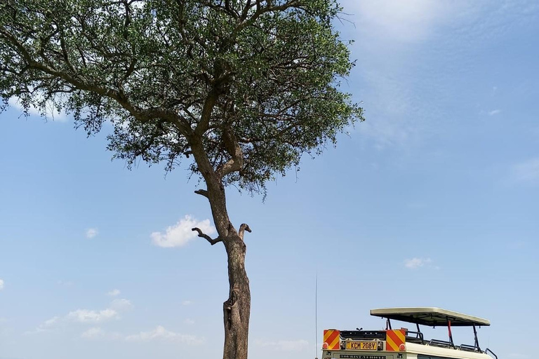 8-Day: Tanzania Safari Tour
