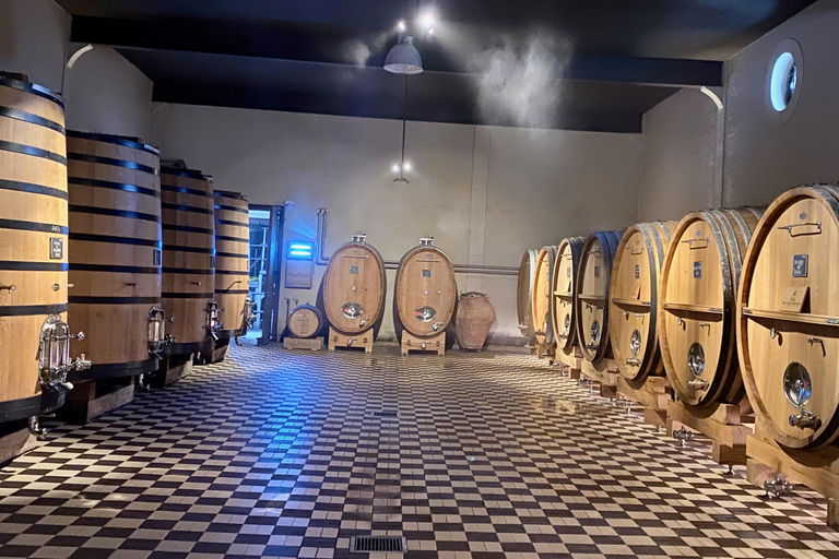 Burgundia prywatna 3 domeny Chateau Pommard Chablis 15 winPrywatna jednodniowa wycieczka do Chablis Chateau de Pommard