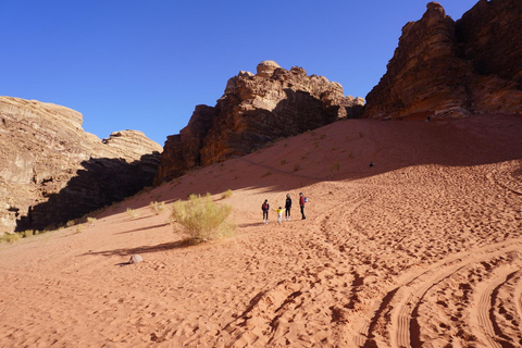 Wadi Rum: Ganztagestour nach Umm Ad Dami mit Mittagessen