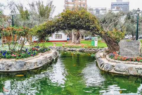 Tour de la ciudad Lima Colonial y Moderna durante 5 Horas