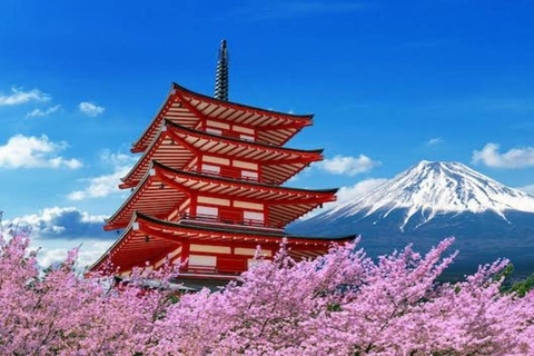 From Tokyo: Mount Fuji Full Day Customizable Private Tour