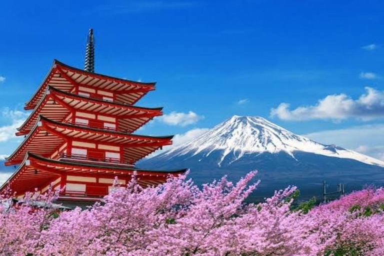 From Tokyo: Mount Fuji Full Day Customizable Private Tour