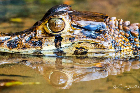 Tambopata Jungle 4 Days | Lake Sandoval + Monkey Island