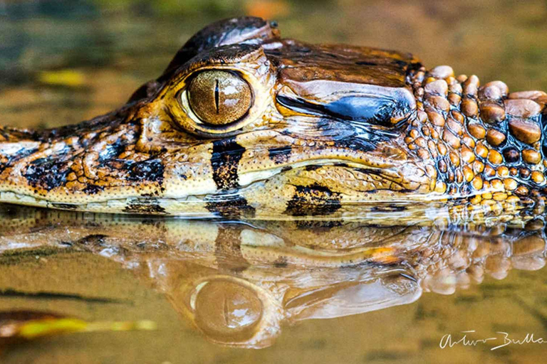 Puerto Maldonado: 4-dniowa przygoda w amazońskiej dżungli