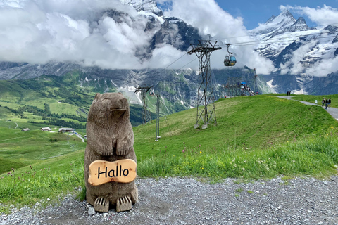 Von Zürich aus: Tagestour Grindelwald und First Cliff Walk