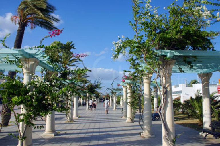 Mahdia: Hammamet & Carthage Land Excursion – A Fun and Discovering Day