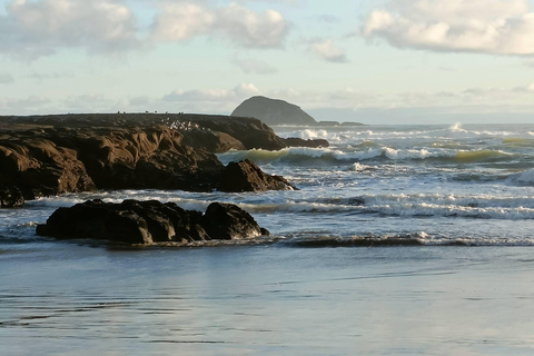 “City & Coast & Country” – A Relaxed Day Tour from Auckland “City & Coast & Country” – A Relaxed Day Tour from Auckland