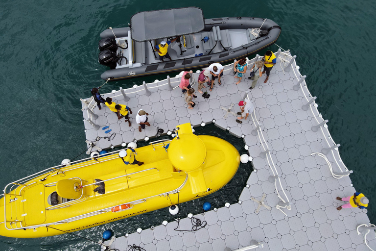 Zanzíbar:Excursión a la Granja de Especias,Experiencia submarina en el arrecife y la playaZanzíbar:Excursión a la Granja de Especias,Experiencia submarina en el arrecife y en l