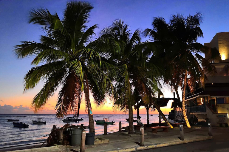 Sweet Life Island Tours