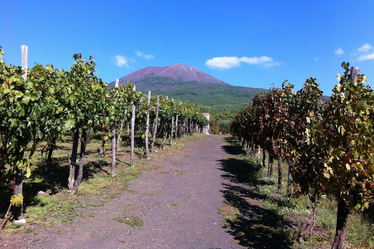 From Amalfi: Pompeii and Mount Vesuvius Winery Private Tour