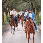 Siena: tour a cavallo nella campagna toscana