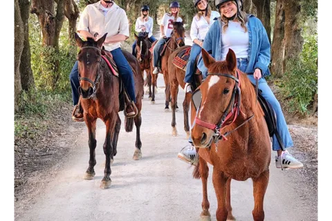 Siena: Horseback Riding Tour in the Tuscany Countryside
