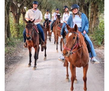 Siena: Horseback Riding Tour in the Tuscany Countryside