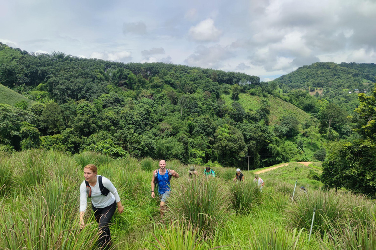 Chiang Rai: Jungle Adventure-Group Trekking & Bamboo Cooking
