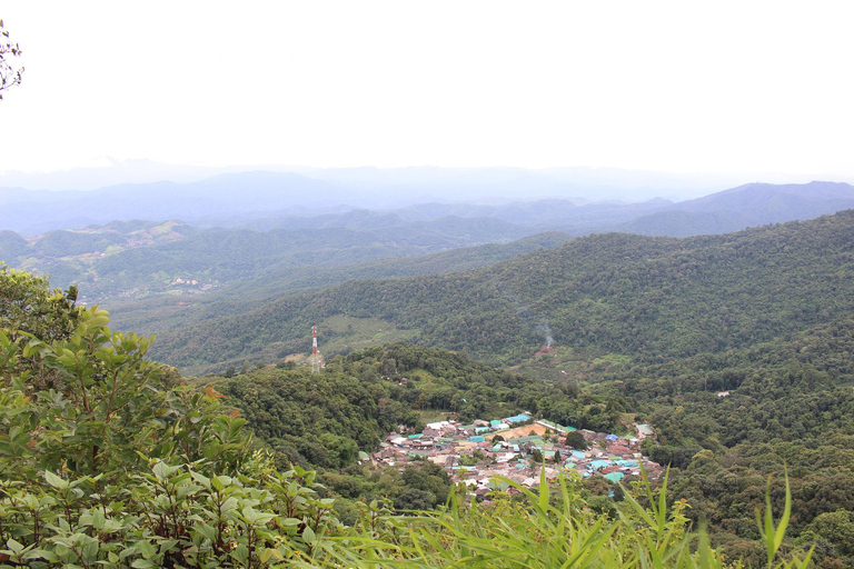 Chiang Mai: Doi Suthep Temple & Hmong Village Tour Tour with Meeting point (Mcdonald Nimman)