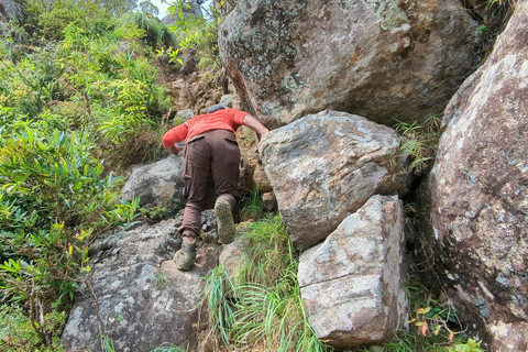Da Kandy: escursione alle cime gemelle di Kanawiddagala e YahangalaDa Kandy: escursione alle due cime gemelle di Kanawiddagala e Yahangala