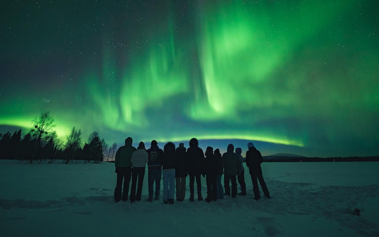 Rovaniemi: Nordlichter-Jagd in kleiner Gruppe – mit Garantie