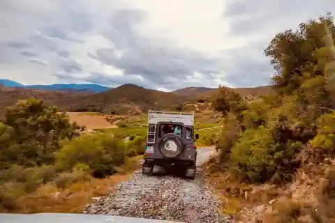 Wine safari