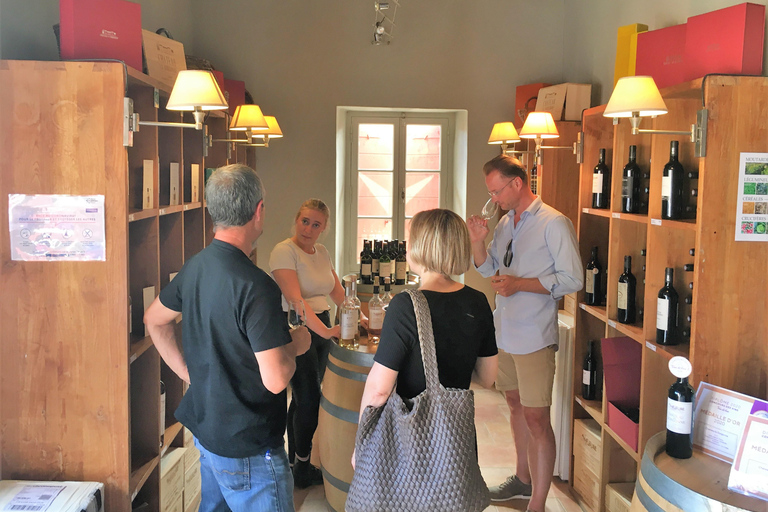 From Marseille: Wine and Scenery around Aix-en-Provence