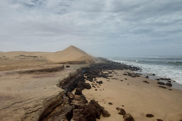 Walvis Bay: Sandboarding & Sandwich Harbour Combo Tour
