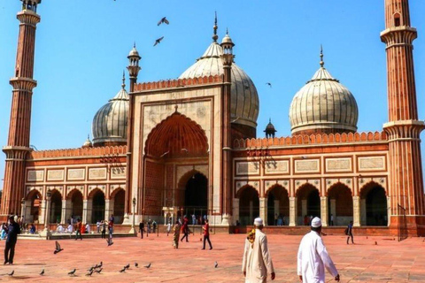 Excursão de meio dia à cidade de Deli em privado