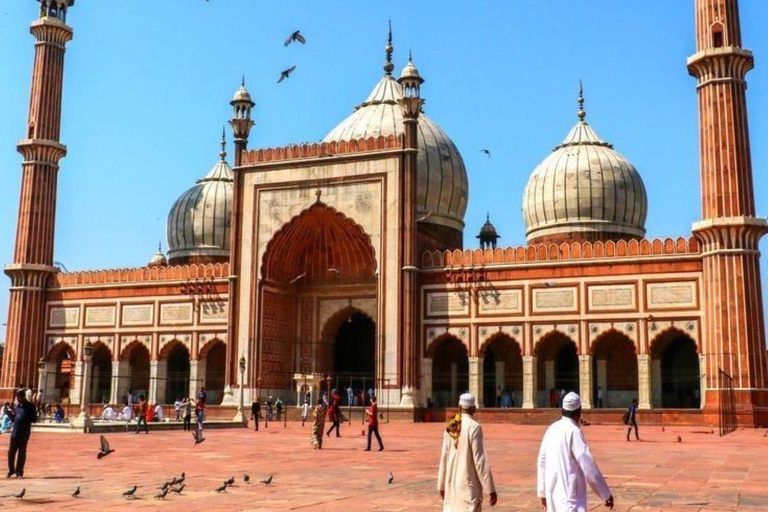 Excursão de meio dia à cidade de Deli em privado