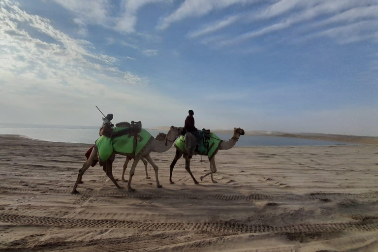 Doha : Safari dans le désert, balade en quad, à dos de chameau et planche à sableDoha : Safari dans le désert, descente des dunes à dos de chameau, planche à sable