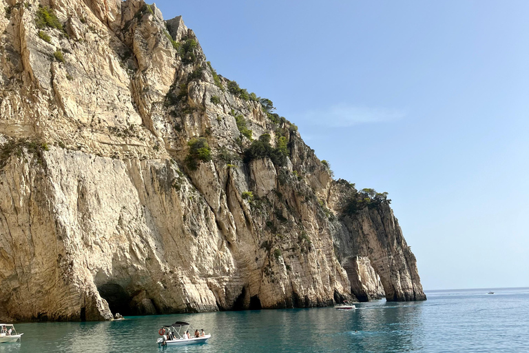 Zakynthos: Sköldpaddsön och Keri-grottorna med glasbottnad båtHalvdagsutflykt med hotelltransfer