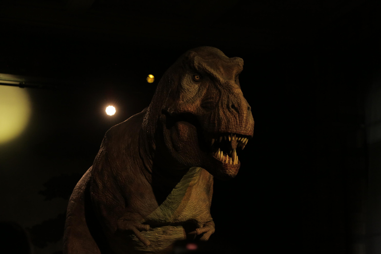 London: Natural History Museum Express Tour & Audio App