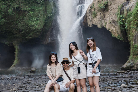 Ubud : Waterfall, Water Temple, RIce Terrace, Ubud Market