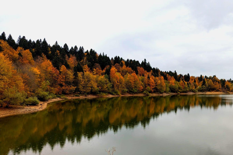 راتشا بالألوان – مغامرة خريفية في جبال جورجياراشا بالألوان – مغامرة الخريف في جبال جورجيا