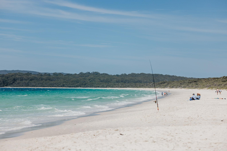 悉尼：杰维斯湾之旅，探访海滩、考拉和袋鼠上午7:30从圣安德鲁大教堂出发。