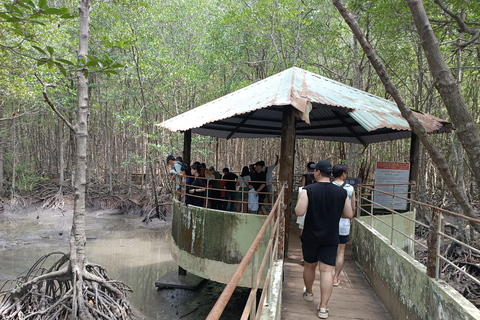 Desde Ciudad Ho Chi Minh: Paseo por los Manglares y la Isla de los Monos de Can Gio